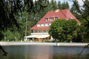 Гостиница Hotel Waldsee  Линденберг-Им-Альгой